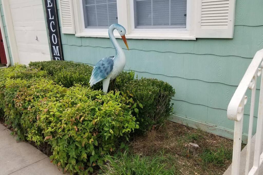 Blue Flamingo'S Charming Home-Heart Of Tulsa2- Cherry St-Expo-11Th Ngoại thất bức ảnh